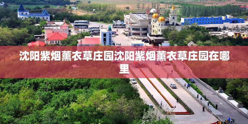 沈阳紫烟薰衣草庄园沈阳紫烟薰衣草庄园在哪里