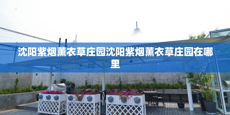 沈阳紫烟薰衣草庄园沈阳紫烟薰衣草庄园在哪里