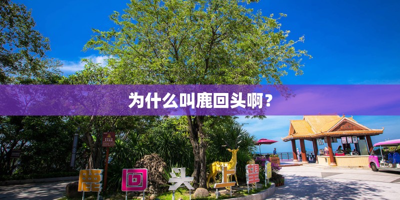 为什么叫鹿回头啊？