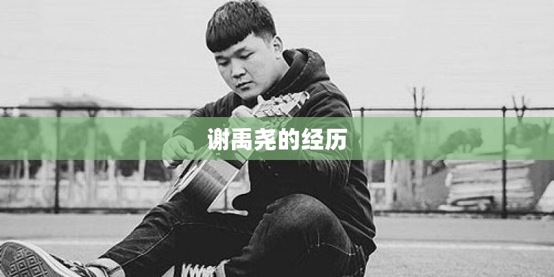 谢禹尧的经历