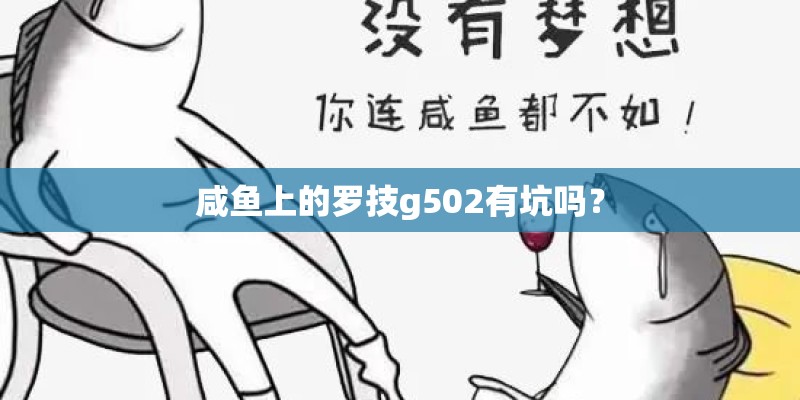 咸鱼上的罗技g502有坑吗？