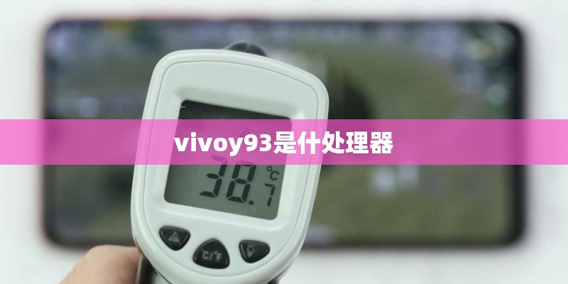 vivoy93是什处理器