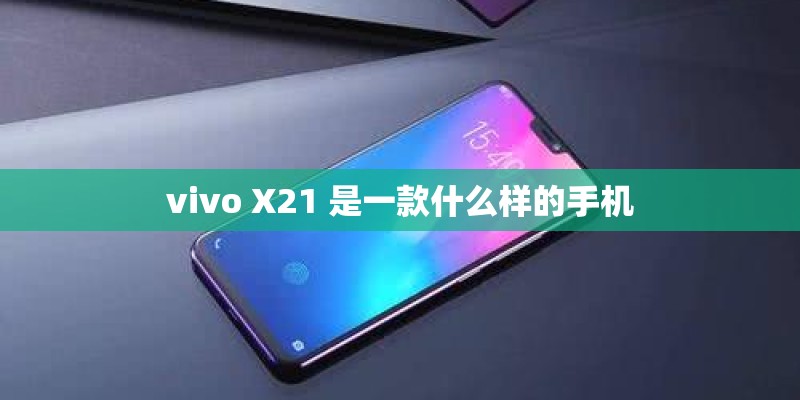 vivo X21 是一款什么样的手机