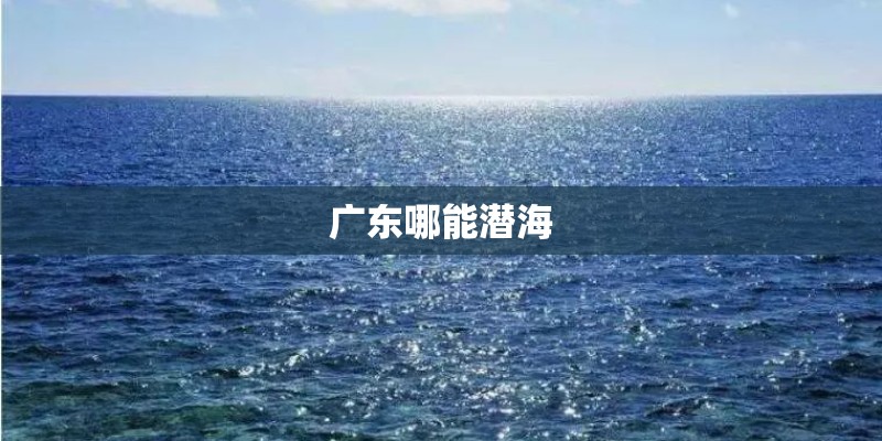 广东哪能潜海