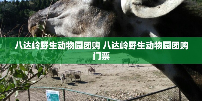 八达岭野生动物园团购 八达岭野生动物园团购门票
