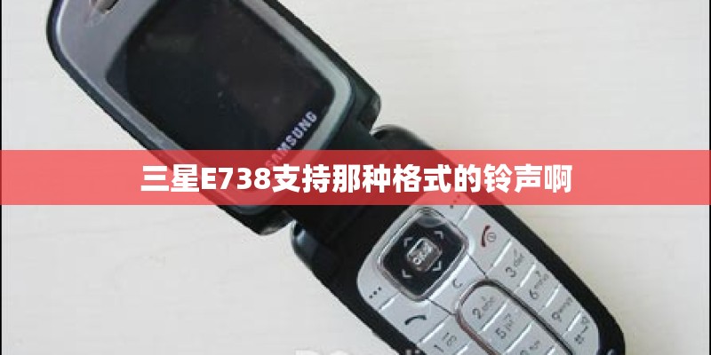 三星E738支持那种格式的铃声啊