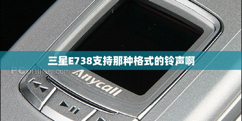 三星E738支持那种格式的铃声啊