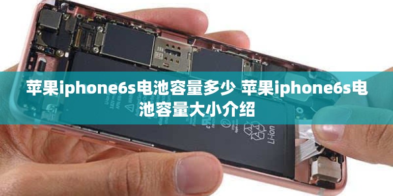 苹果iphone6s电池容量多少 苹果iphone6s电池容量大小介绍