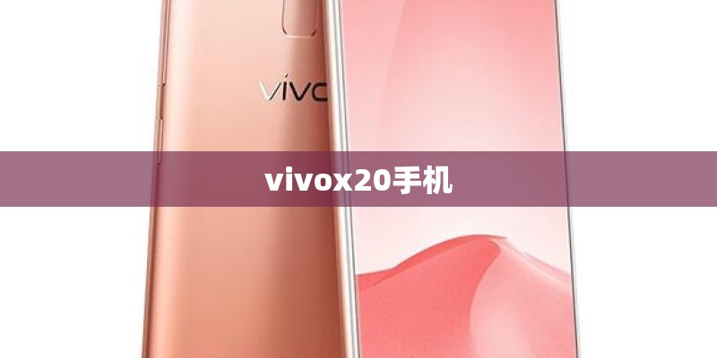 vivox20手机