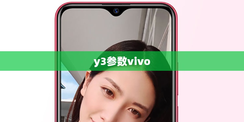 y3参数vivo