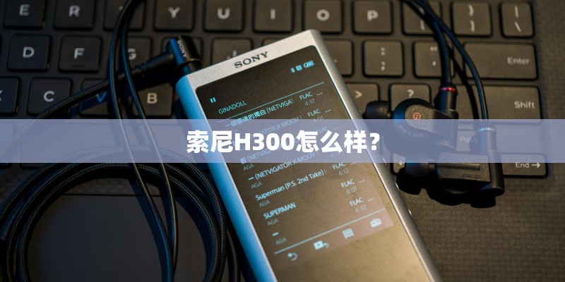 索尼H300怎么样？