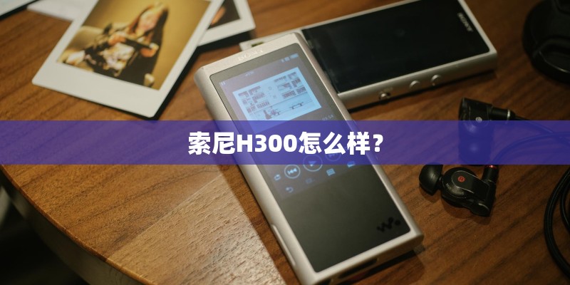 索尼H300怎么样？