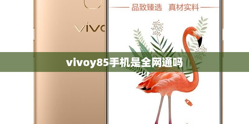 vivoy85手机是全网通吗