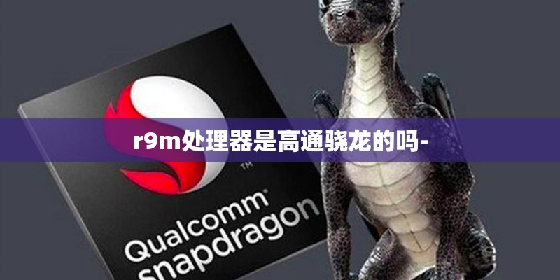 r9m处理器是高通骁龙的吗-