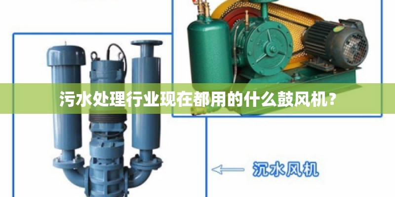 污水处理行业现在都用的什么鼓风机？