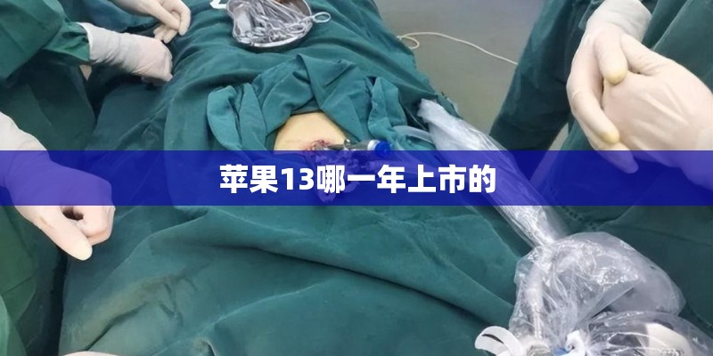 苹果13哪一年上市的