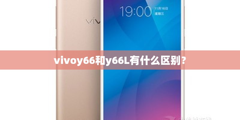 vivoy66和y66L有什么区别？