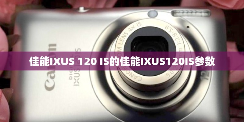 佳能IXUS 120 IS的佳能IXUS120IS参数