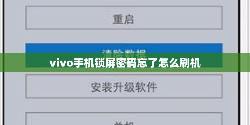 vivo手机锁屏密码忘了怎么刷机