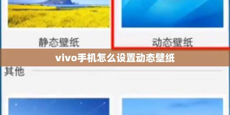 vivo手机怎么设置动态壁纸