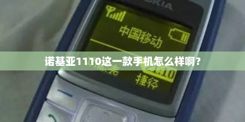 诺基亚1110这一款手机怎么样啊? 诺基亚1110这一款手机怎么样啊?