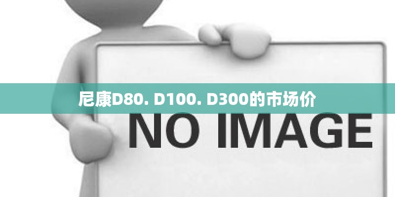 尼康D80. D100. D300的市场价