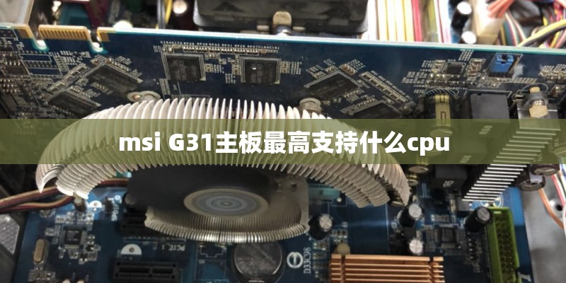 msi G31主板最高支持什么cpu