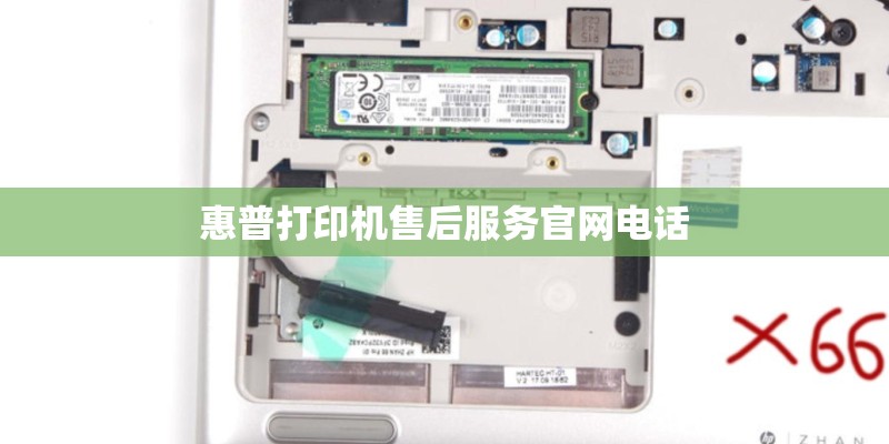 Xperia XZ Premium日本实际拍摄 捕捉高光下的细节与有趣影片