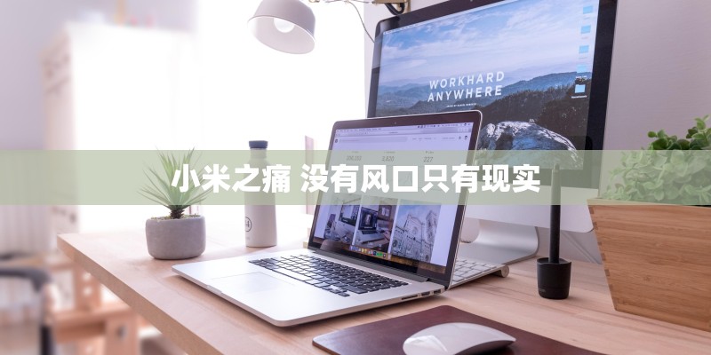 Xperia XZ Premium日本实际拍摄 捕捉高光下的细节与有趣影片