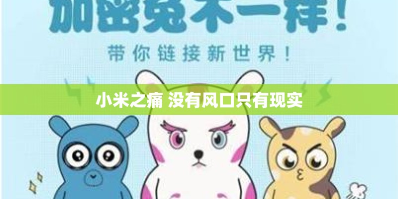 小米之痛 没有风口只有现实
