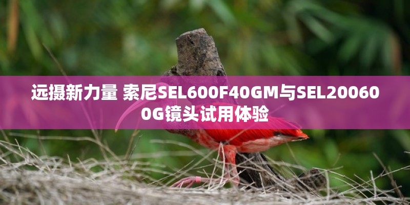 淘宝上卖的苹果6只要2000块左右！可以买嘛？