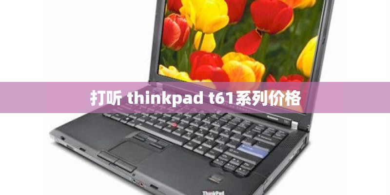 打听 thinkpad t61系列价格