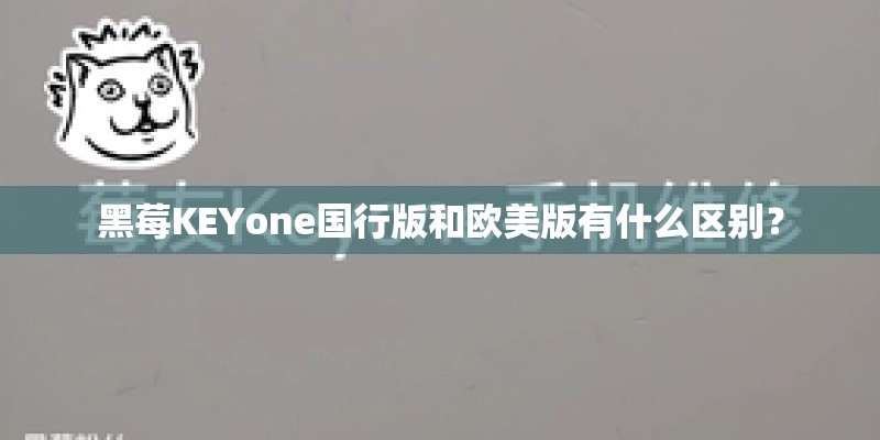 Xperia XZ Premium日本实际拍摄 捕捉高光下的细节与有趣影片